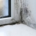 MoldWindow