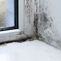 MoldWindow MoldWindow